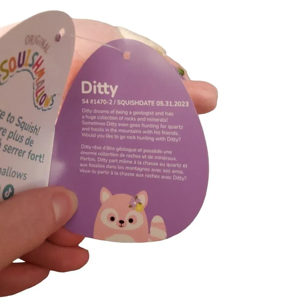 NWT Ditty 4